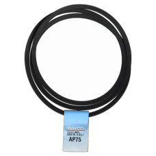 Пас  DAYCO  AP75