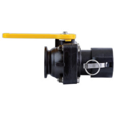 Кран 2” FP Flange x 2” Female Coupler з кришкою MVSD220FP